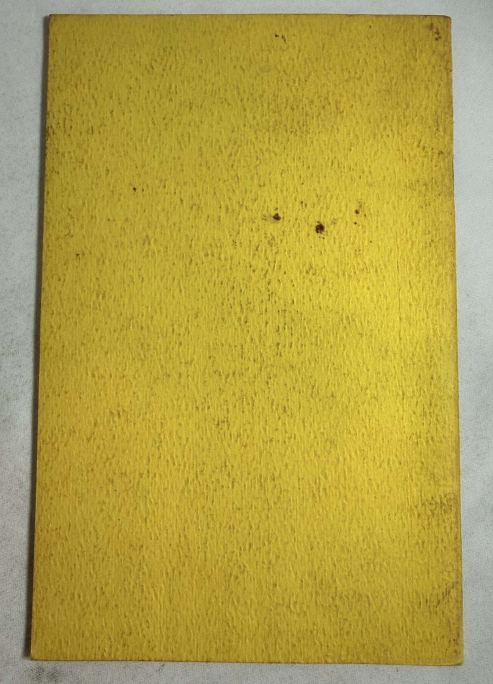 Vtg 1968 FONDUE Cook-In COOKBOOK Recipes PAPERBACK Pamphlet USA Potpourri PRESS