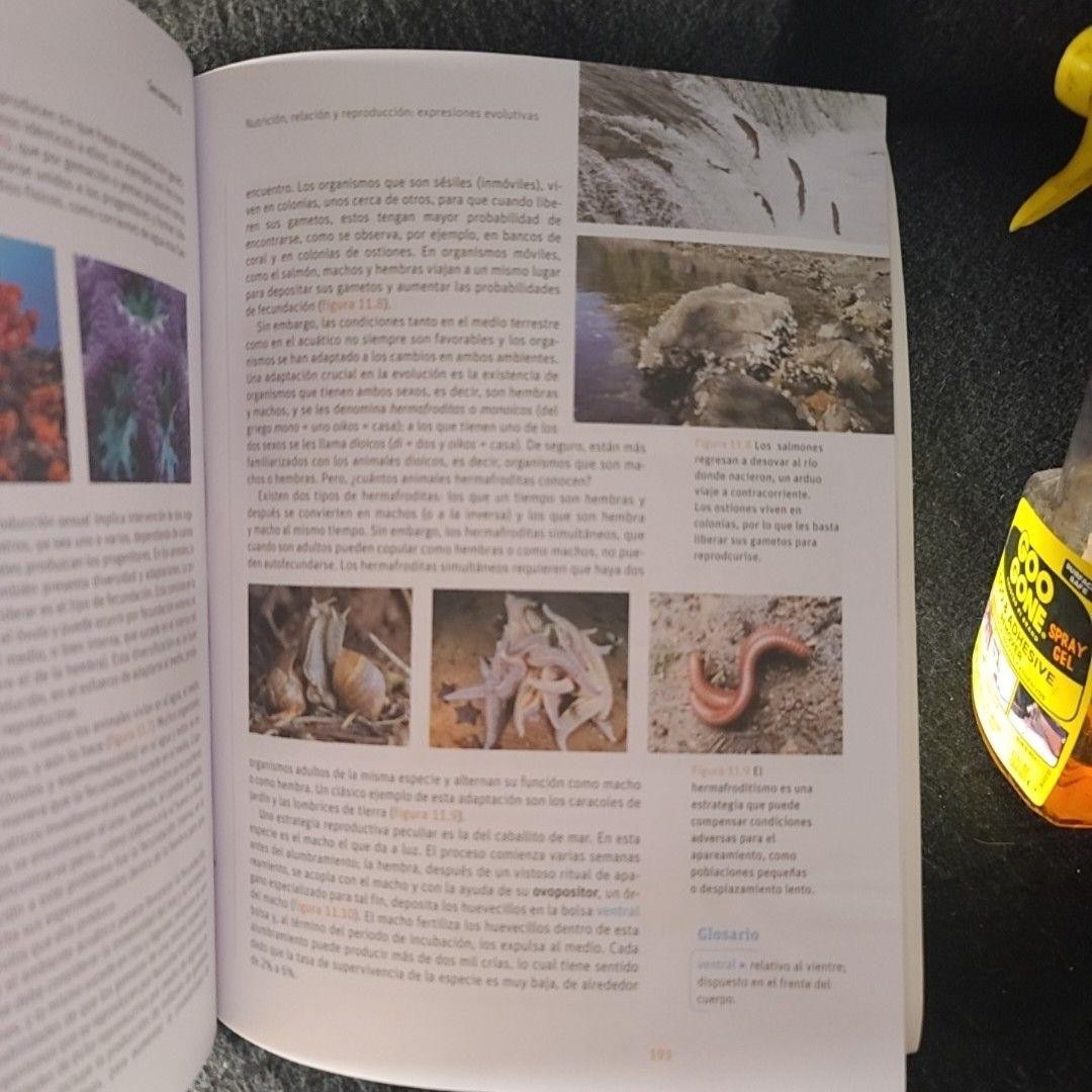 Zayil Salazar Campos Biología Savia SM 2018 Paperback Spanish Activity Book