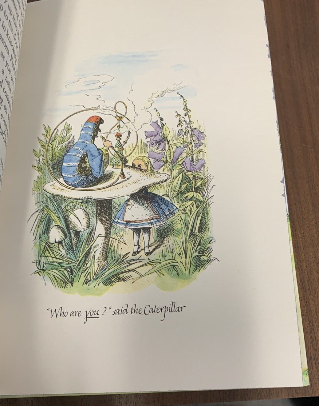 Alice in Wonderland Through the Looking Glass Illustrated Junior Library 1981