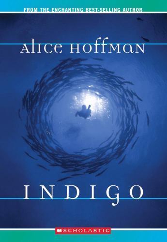 Indigo – 9780439256360, paperback, Alice Hoffman
