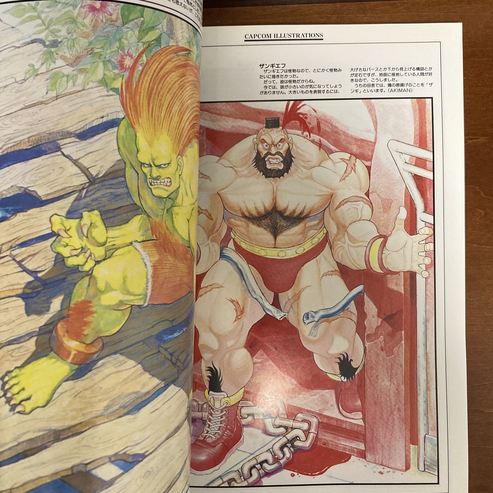 Capcom Illustrations Art Book