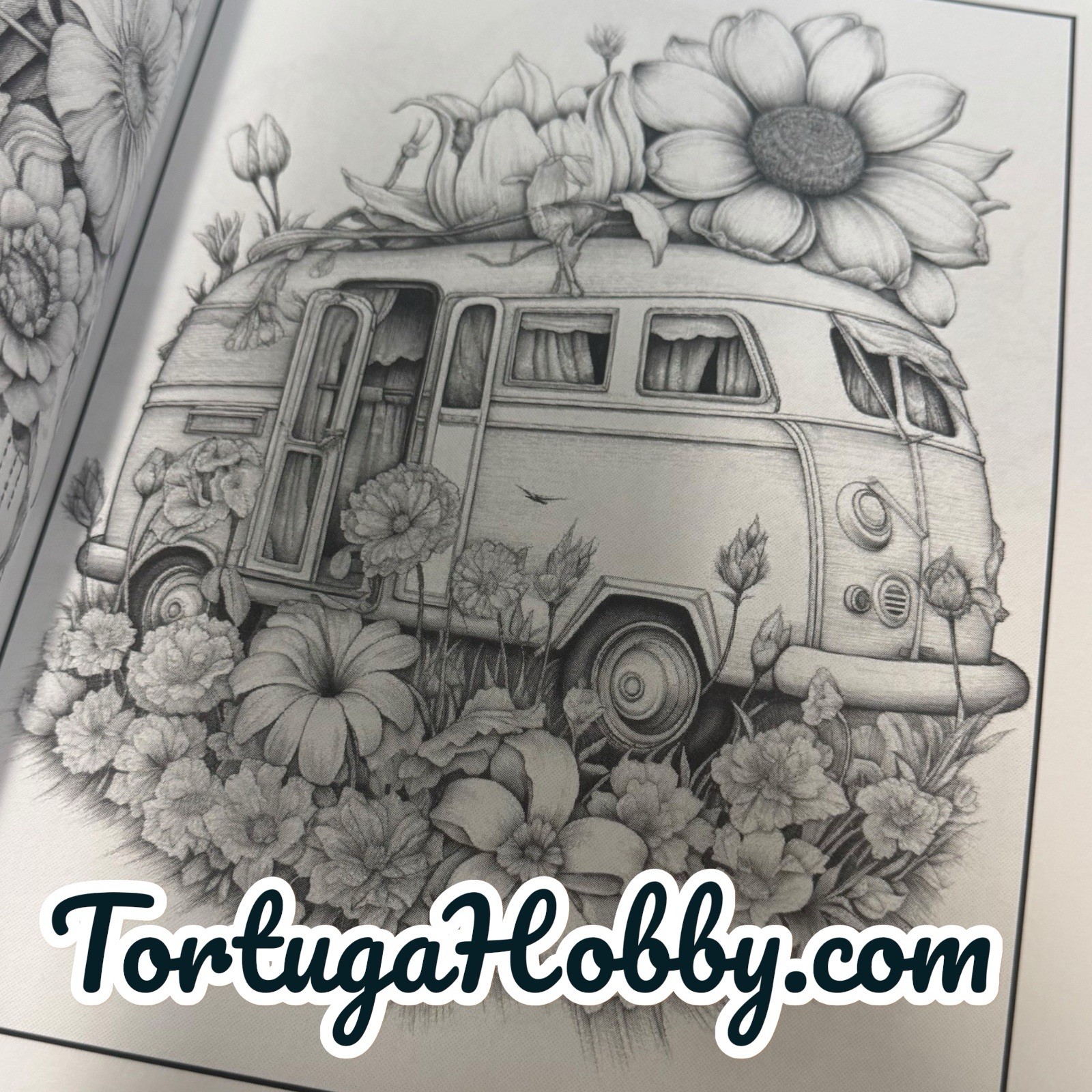 Hot Air Balloons & Boquets – Coloring Book. 100+ Pages.