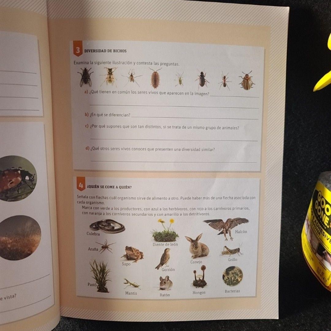 Zayil Salazar Campos Biología Savia SM 2018 Paperback Spanish Activity Book
