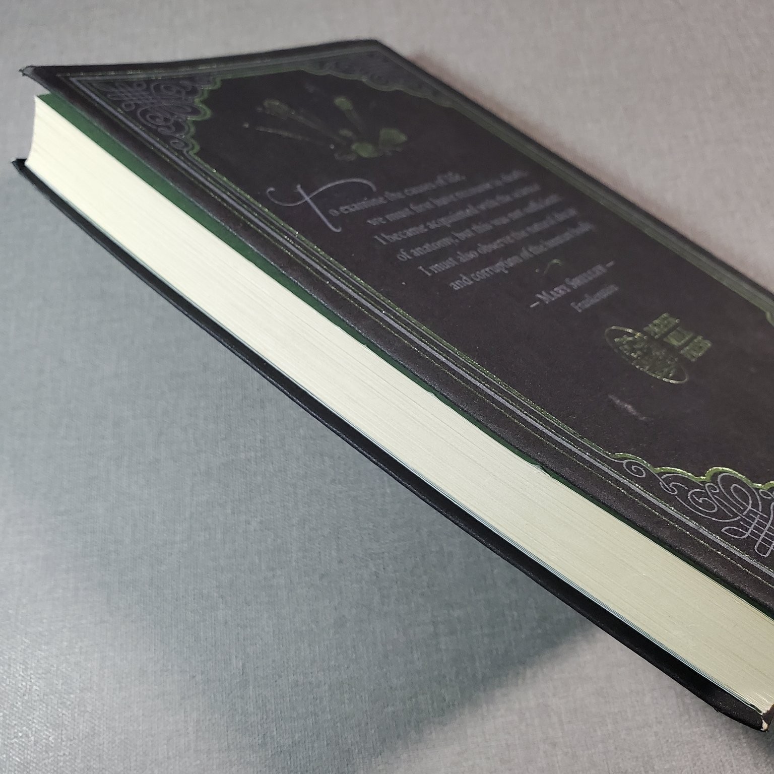 Frankenstein Mary Shelley 2018 Hardcover Paper Mill Press Classic Horror Novel