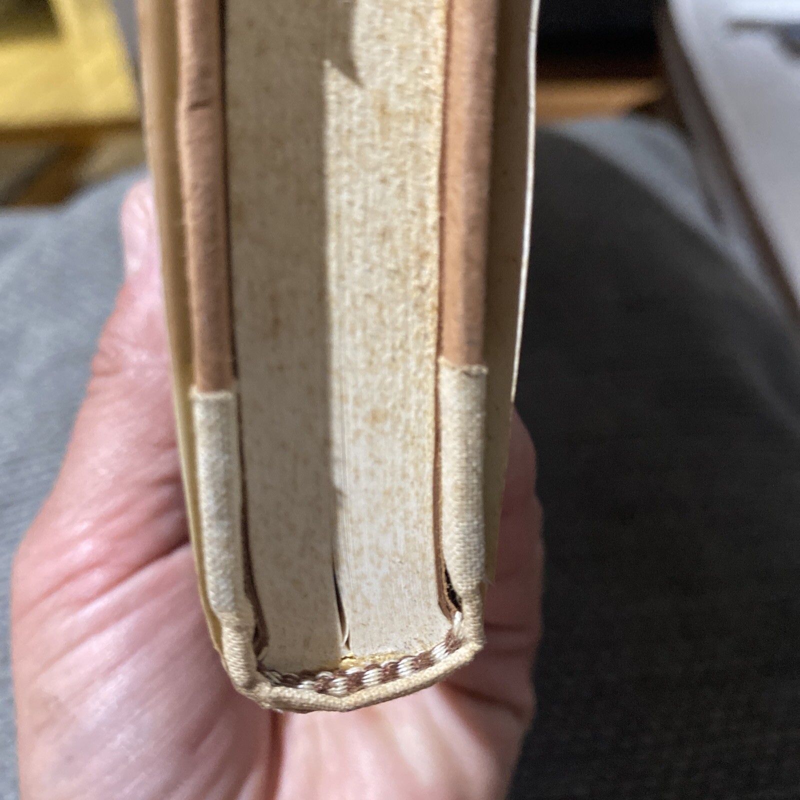 In Patagonia by Bruce Chatwin – First US Edition – Spine Cracked