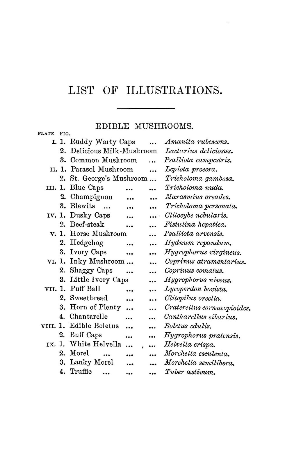 1894 Edible And Poisonous Mushrooms 158 Pages