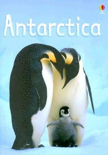 Antarctica (Usborne Beginners) – Hardcover By Bowman, Lucy – GOOD
