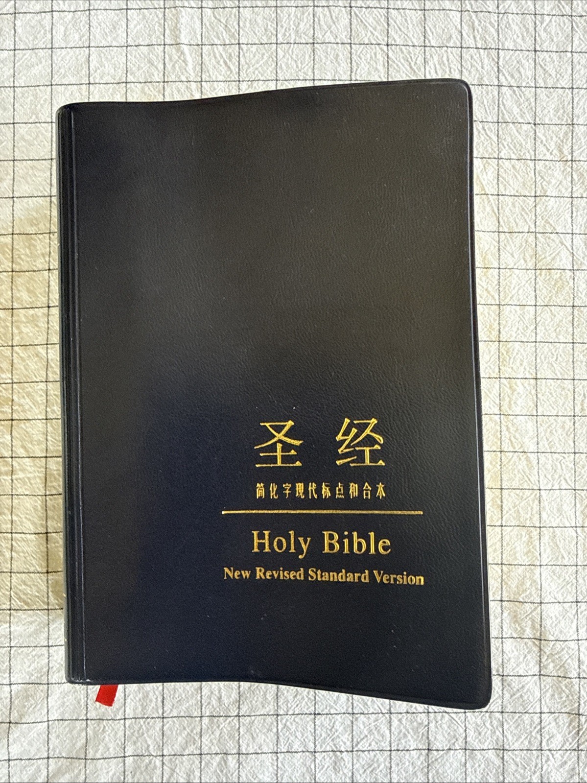 Holy Bible: NRSV New Revised Standard, Bilingual English Chinese 圣经 现代中文译本