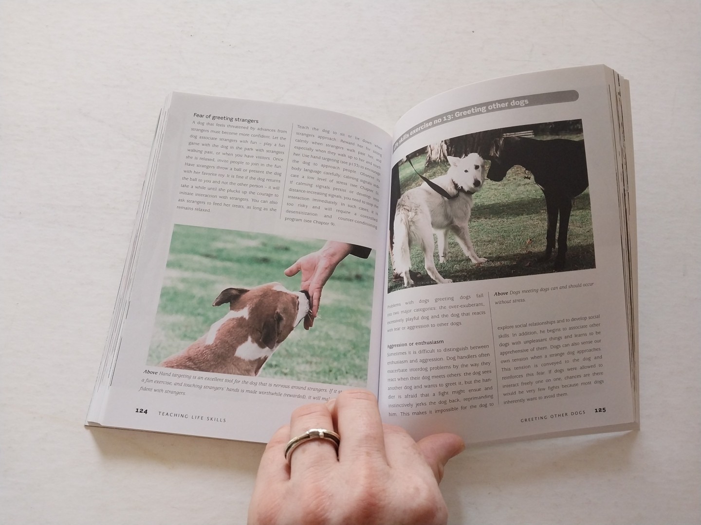 Bad Dog to Good Dog : A New Approach to Dog Psychology and Training by Quixi…