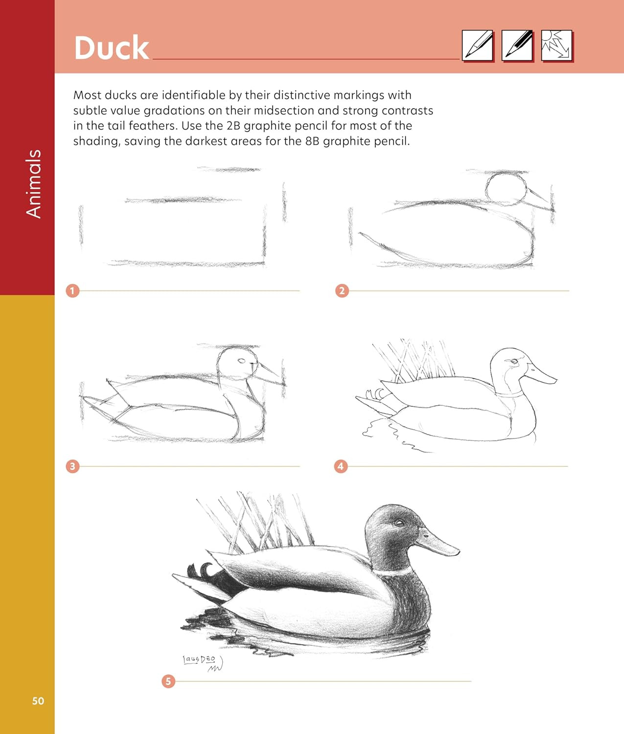 How to Draw Step by Step: A Visual Guide to Realistic Drawing