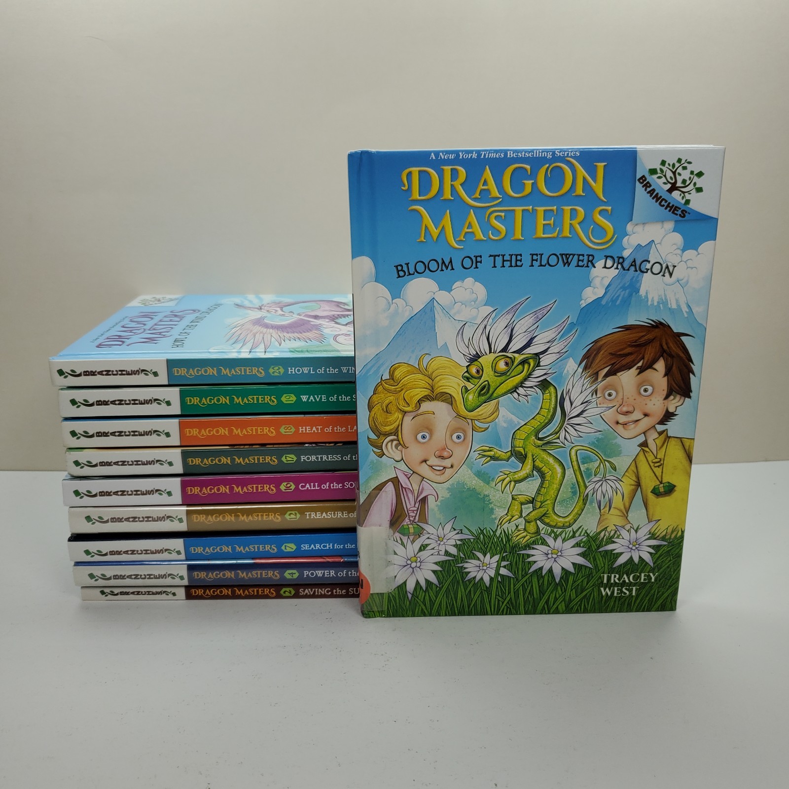 Dragon Masters Books Lot 10 Branches Tracey West HC & PB