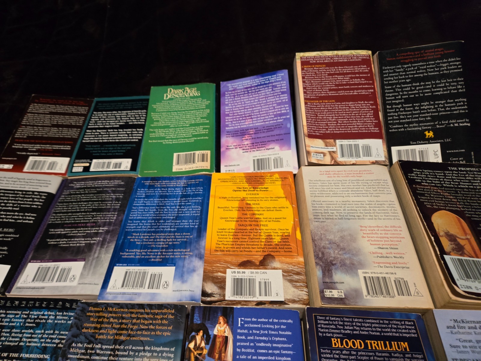 Large Lot of 20 Fantasy Paperback Books-MISC Authors-Mark Lawrence/Carol Berg +