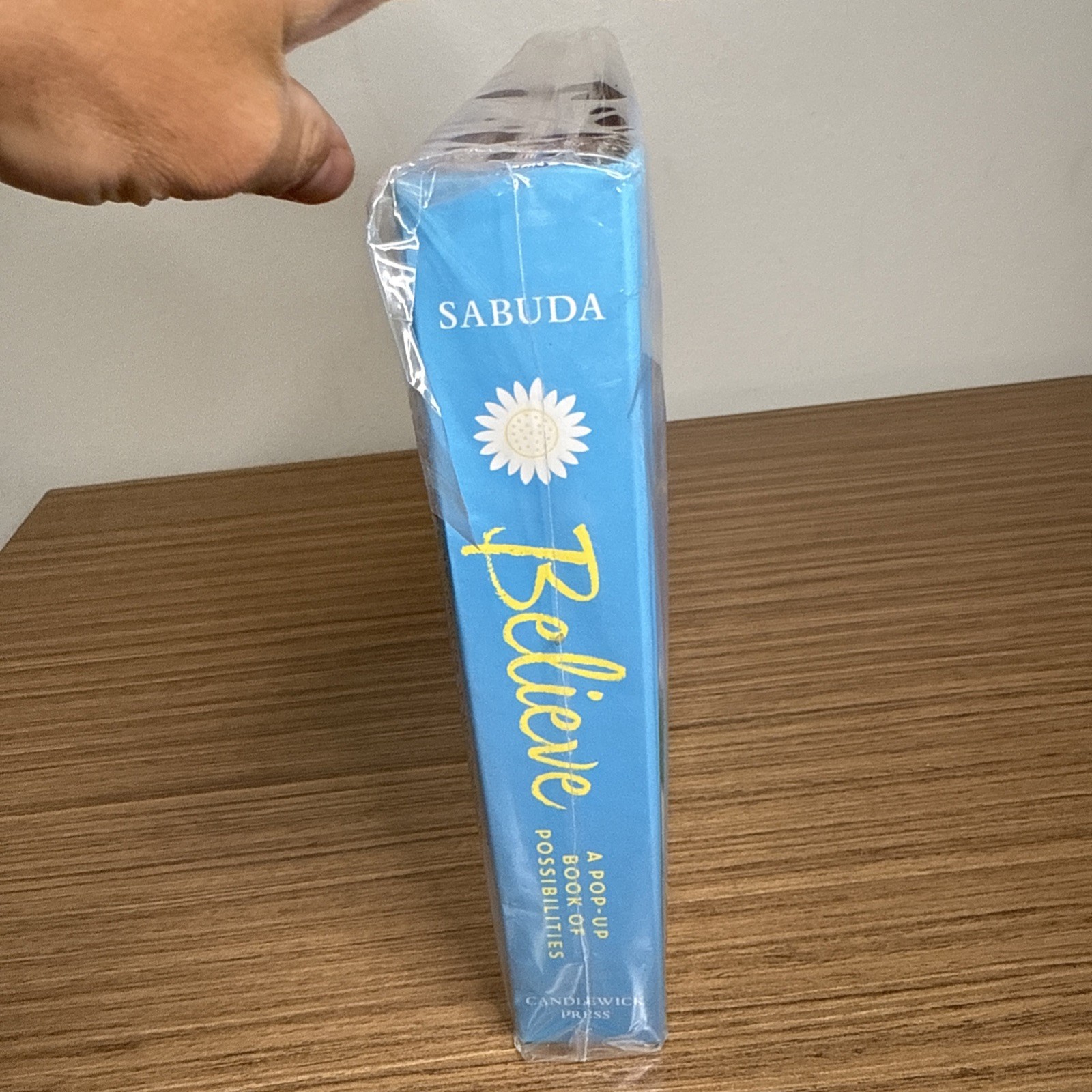 SEALED Believe : A Pop-Up Book of Possibilities by Robert Sabuda 2019, Hardcover