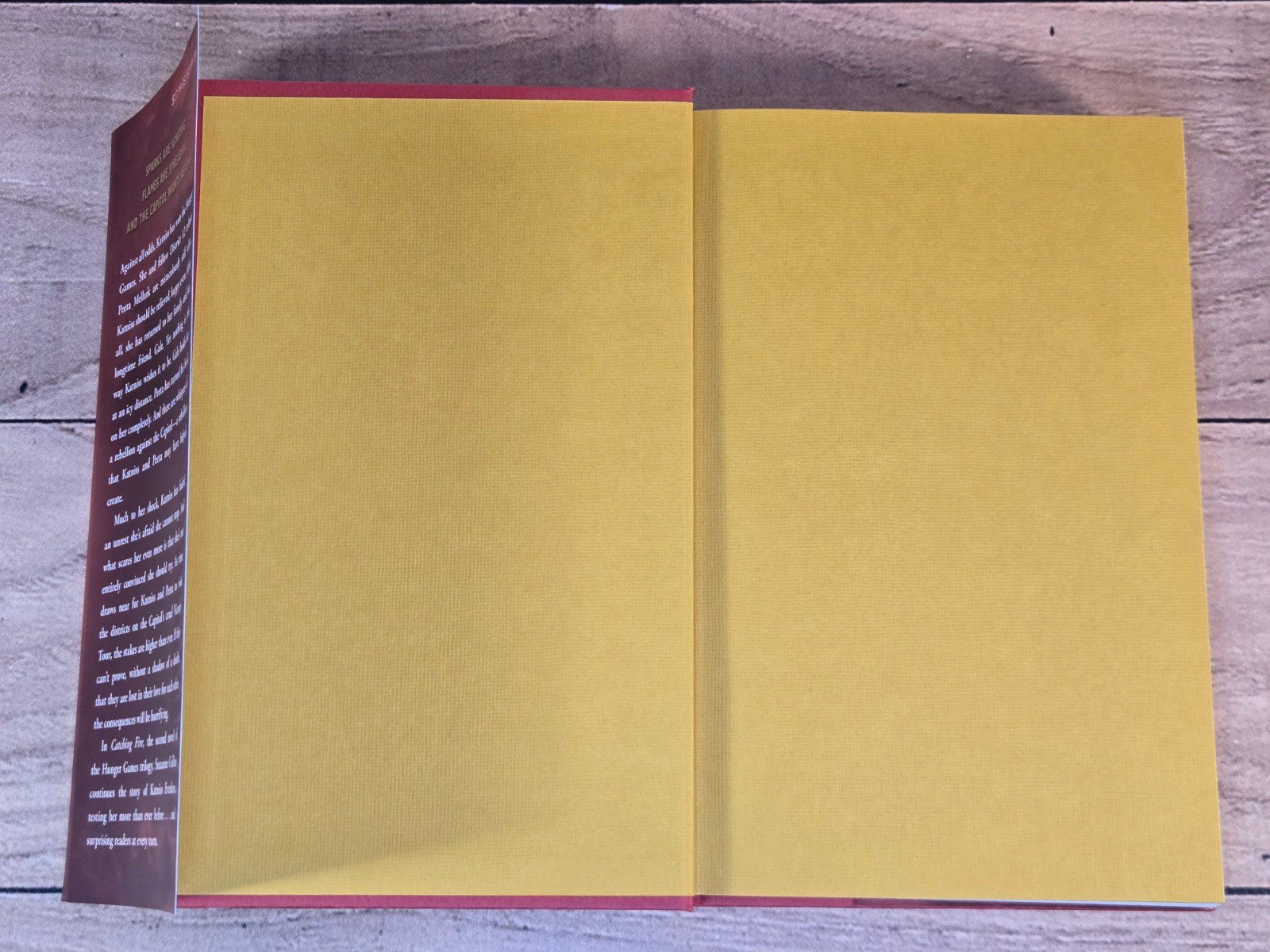 Catching Fire Suzanne Collins 1st Edition Hardcover Hunger Games Book 2