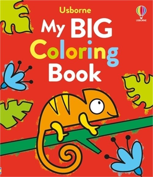 My Big Coloring Book (Paperback or Softback)