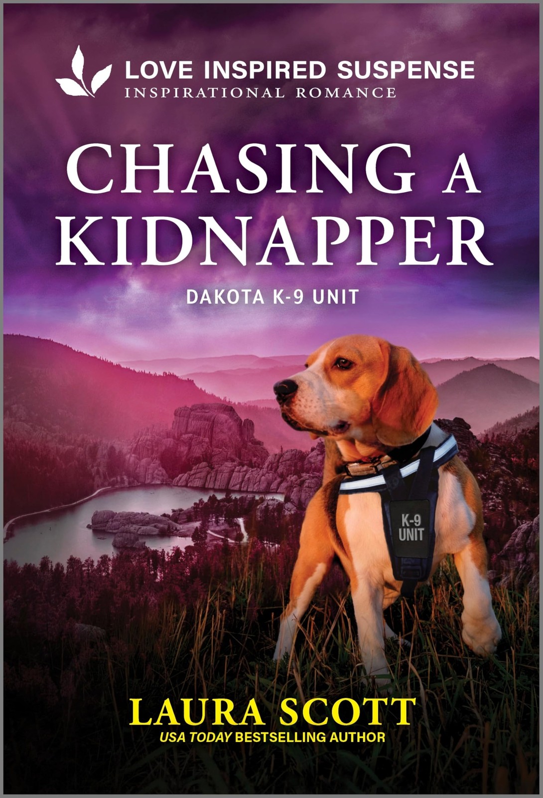 Chasing a Kidnapper (Dakota K-9 Unit, 1) – mass market paperback Scott, Laur…