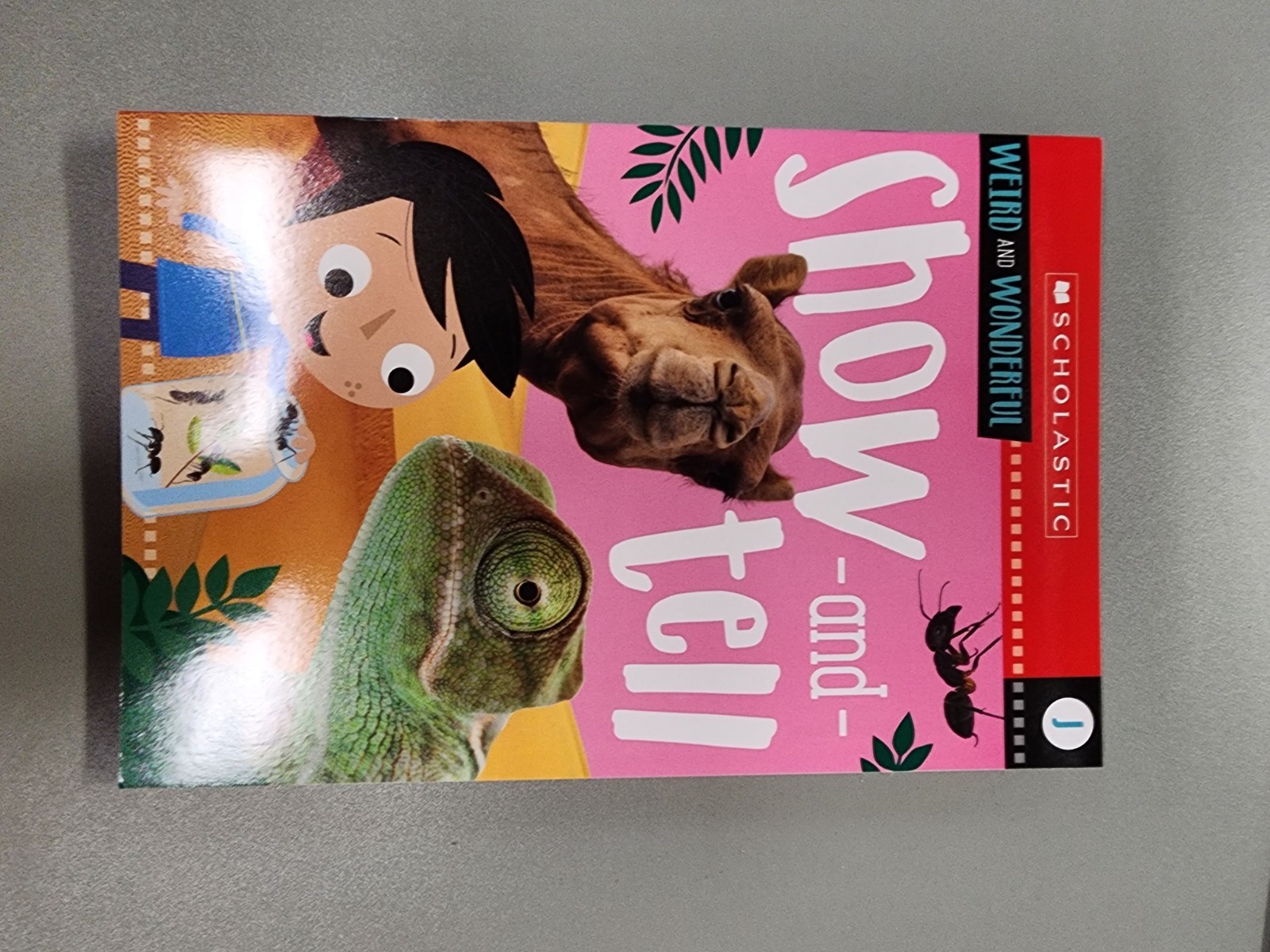 Animal Antics First Grade Reader Box Set: Scholastic Box or Slipcased