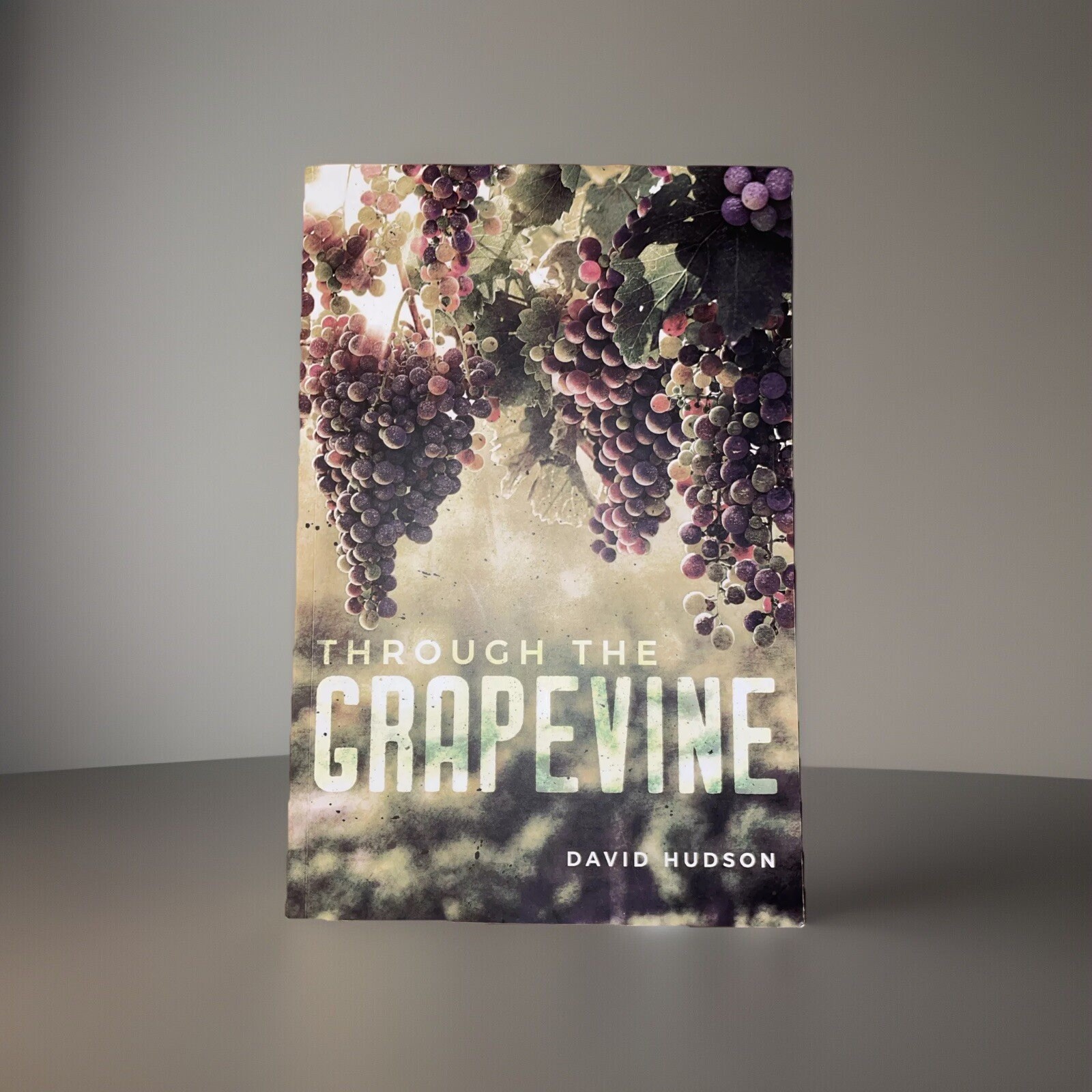Through The Grapevine Novel David Hudson 2018 Palmetto Publishing *SIGNED*