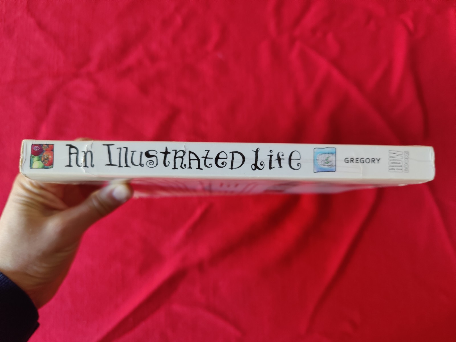 An Illustrated Life by Danny Gregory, art book