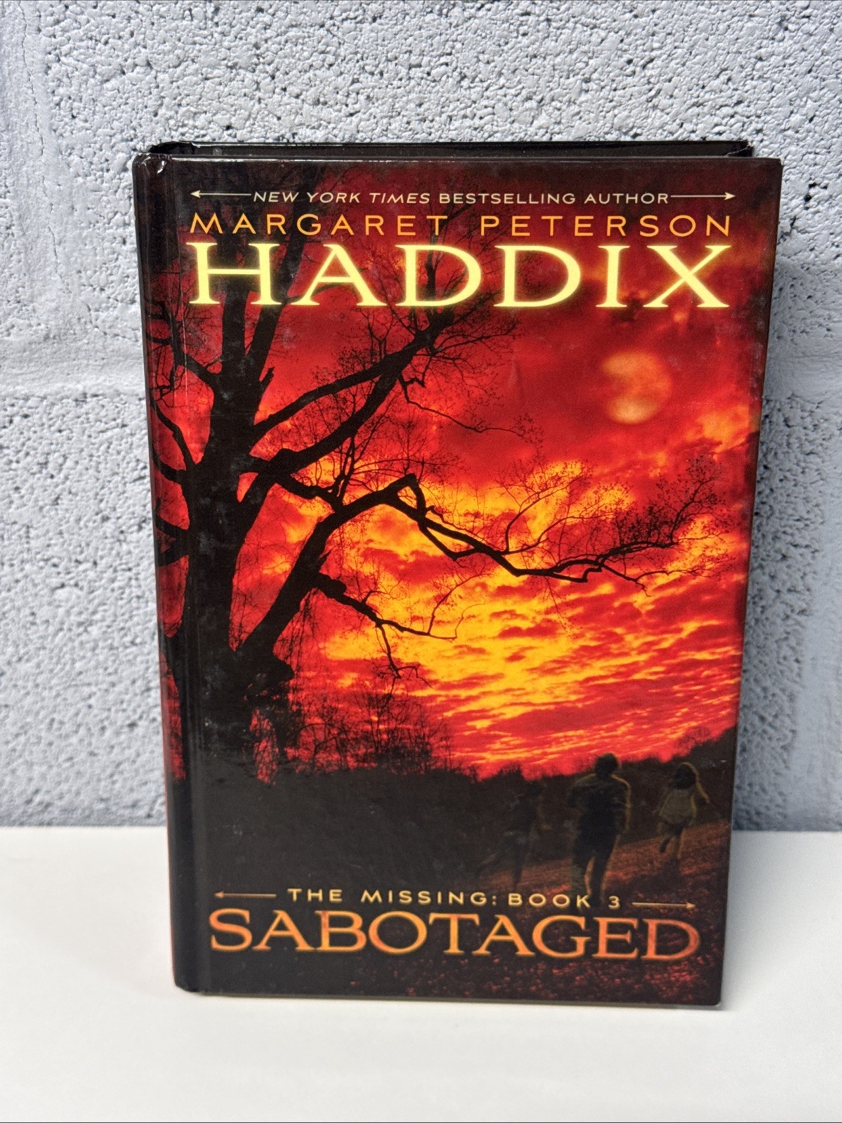 The Missing #1-4 Hardcover Margaret Peterson Haddix 4-Book Set Found Sent Torn
