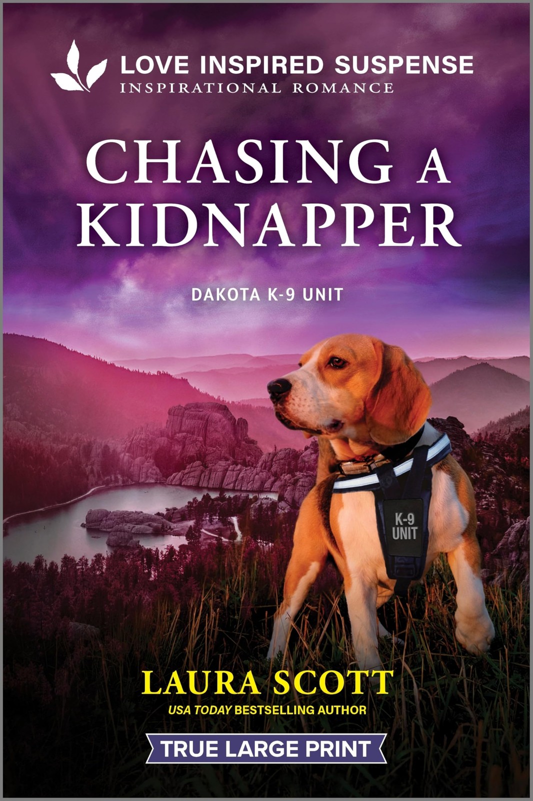 Chasing a Kidnapper (Dakota K-9 Unit, 1)
