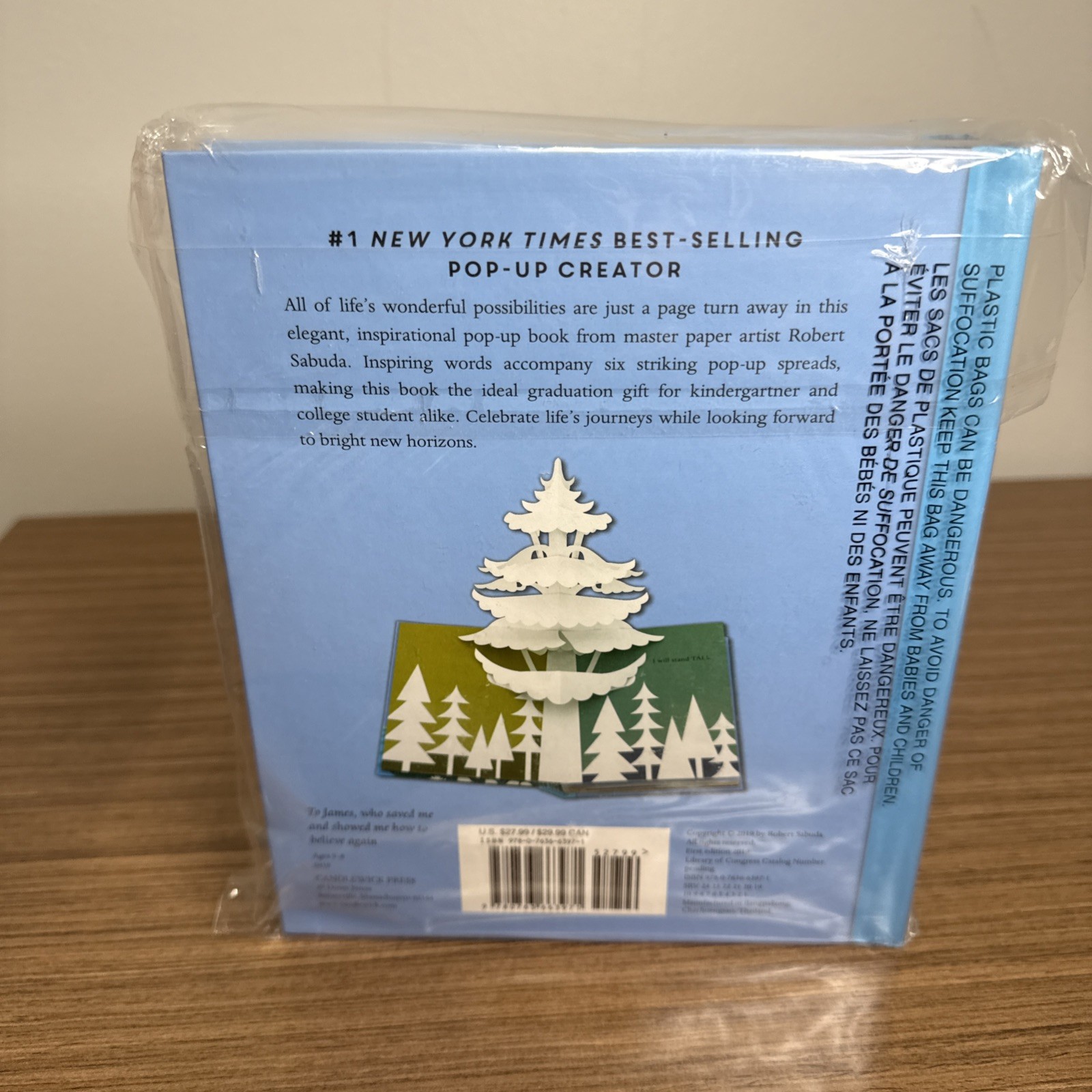 SEALED Believe : A Pop-Up Book of Possibilities by Robert Sabuda 2019, Hardcover