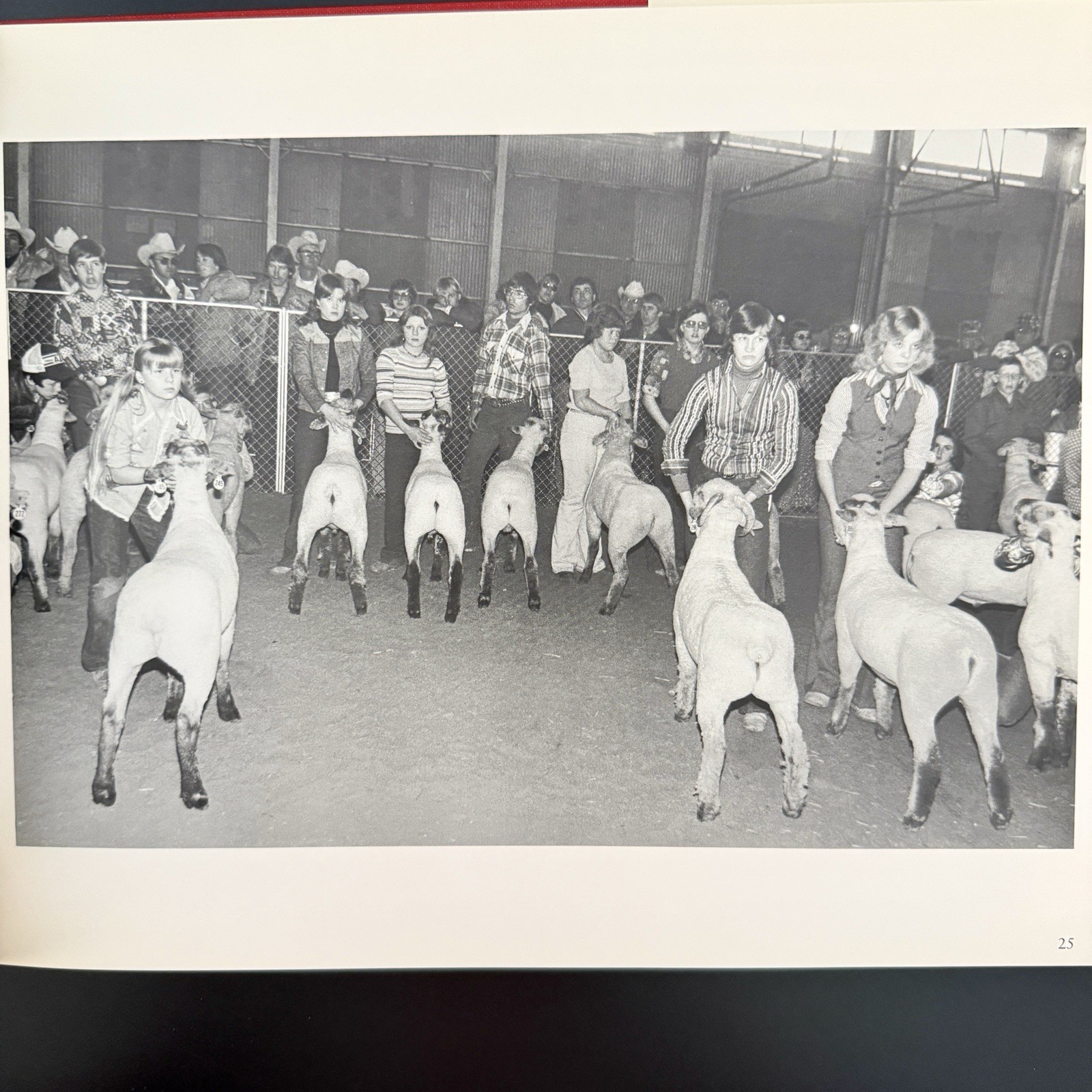 Garry Winogrand Stock Photographs Fort Worth Fat Stock Show Rodeo First Edition