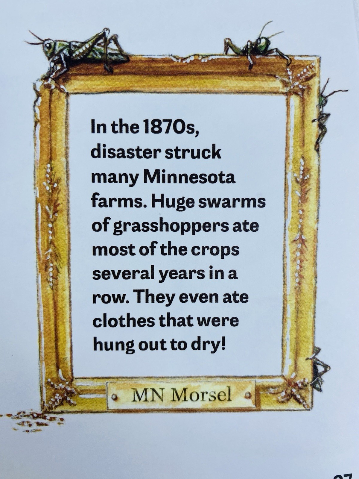 Making Minnesota – A Kids Activity Book. 45 Pages Paperback by Patricia Bauer