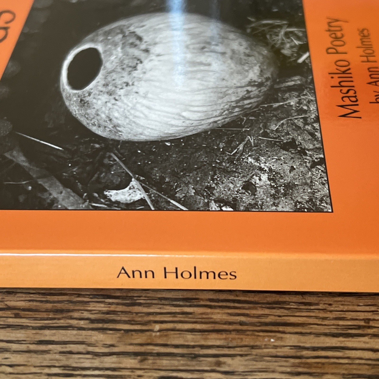 Shards Mashiko Poetry by Ann Holmes