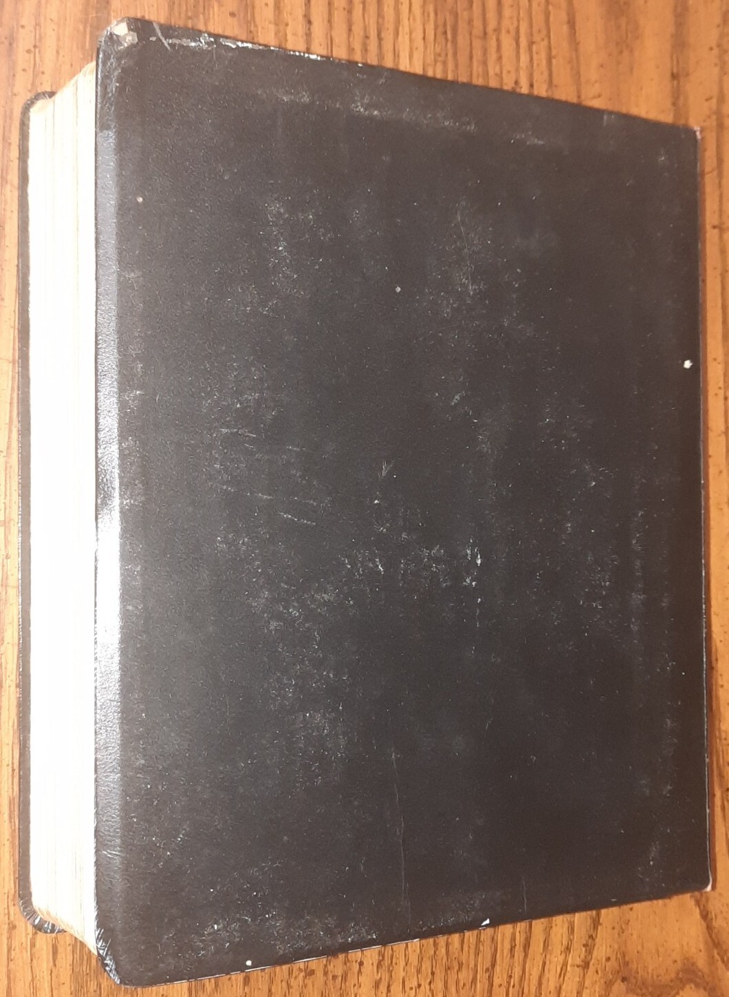 The New American Bible Flexible Cover Catholic Press Three Column 1st Edition