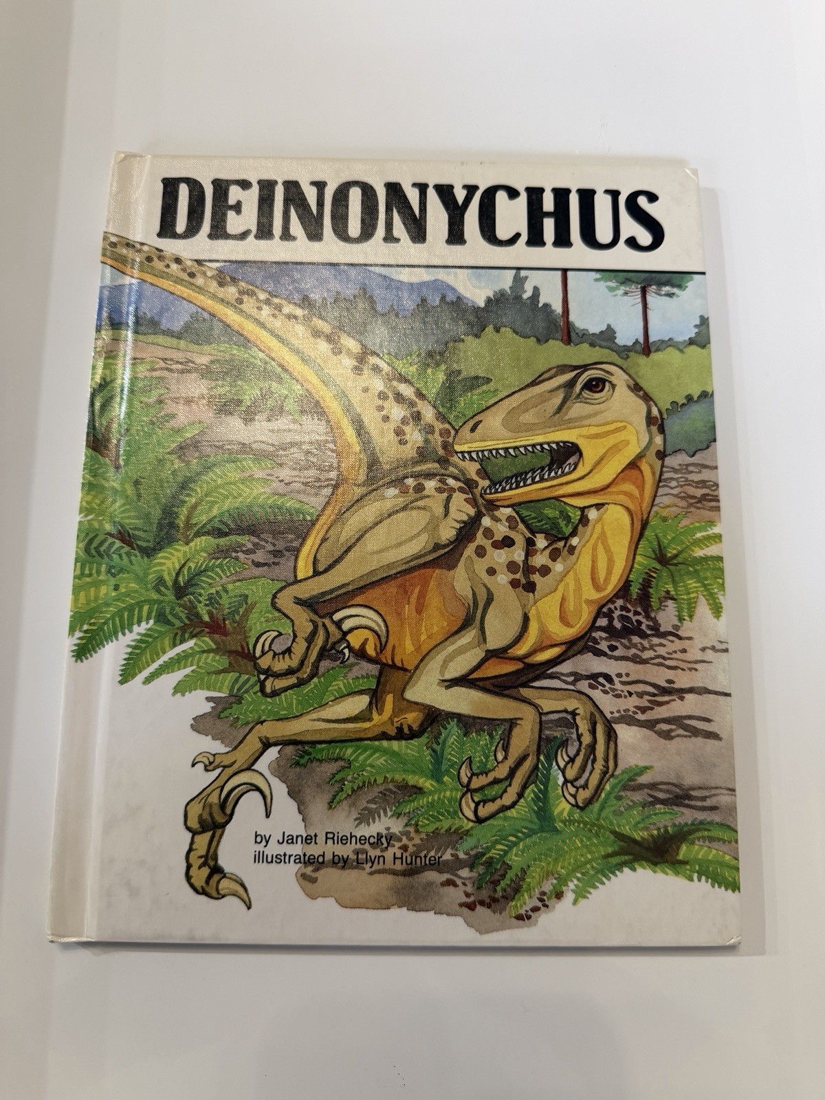 Lot of 7 Dinosaur Picture Books by Janet Riehecky Hardcover-Child’s World,Inc