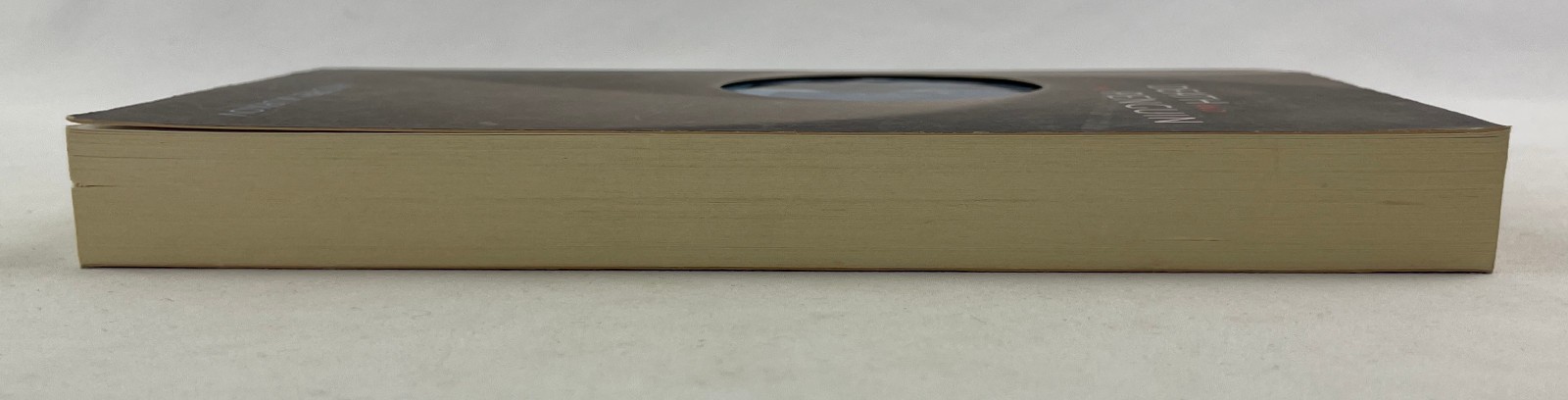 Death and the Penguin, Andrey Kurkov, 2001, Ukrainian Literature, TPBK