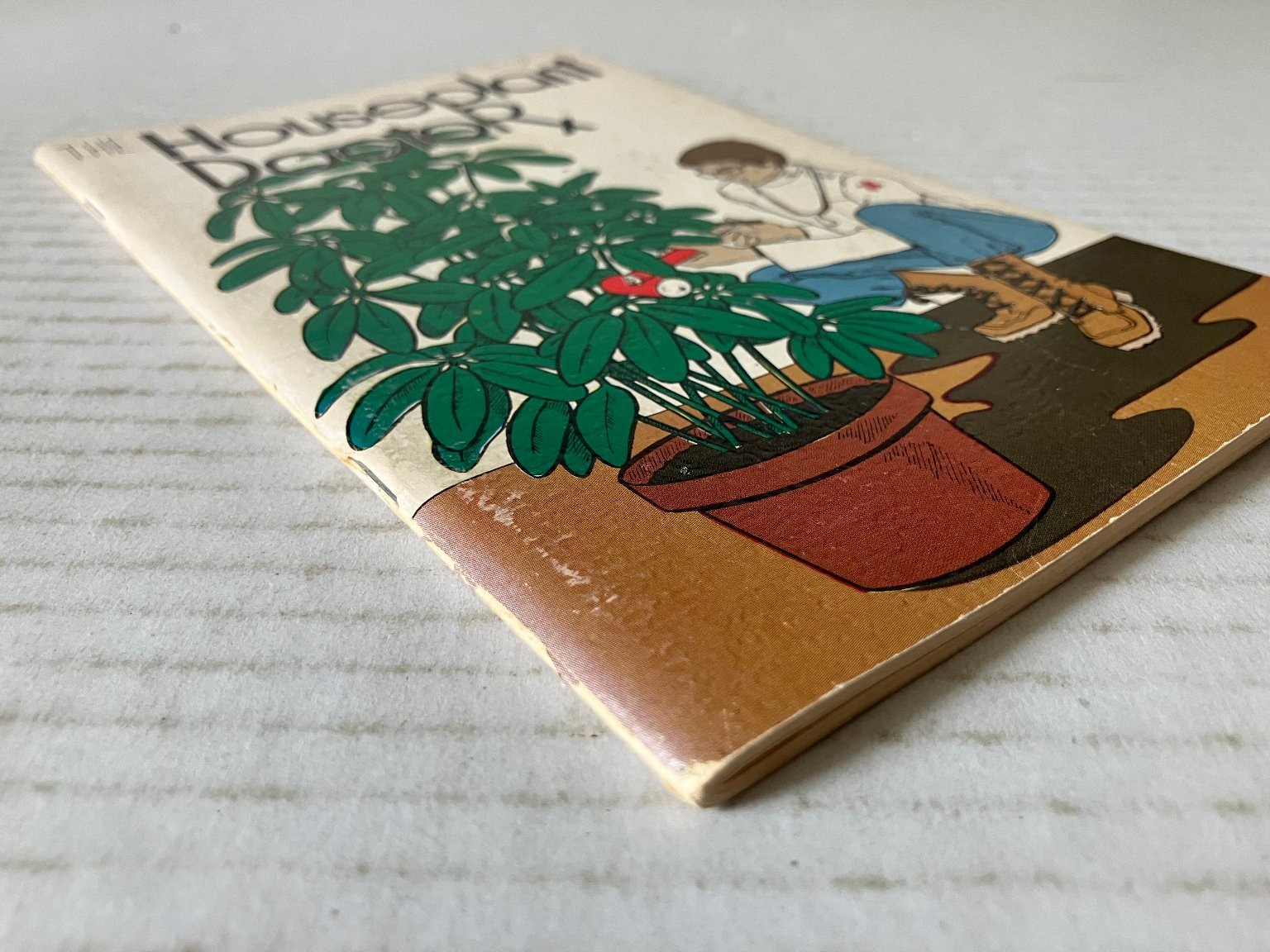 The Houseplant Doctor Rex E. Mabe 1975 Potpourri Press Houseplants Guide PB