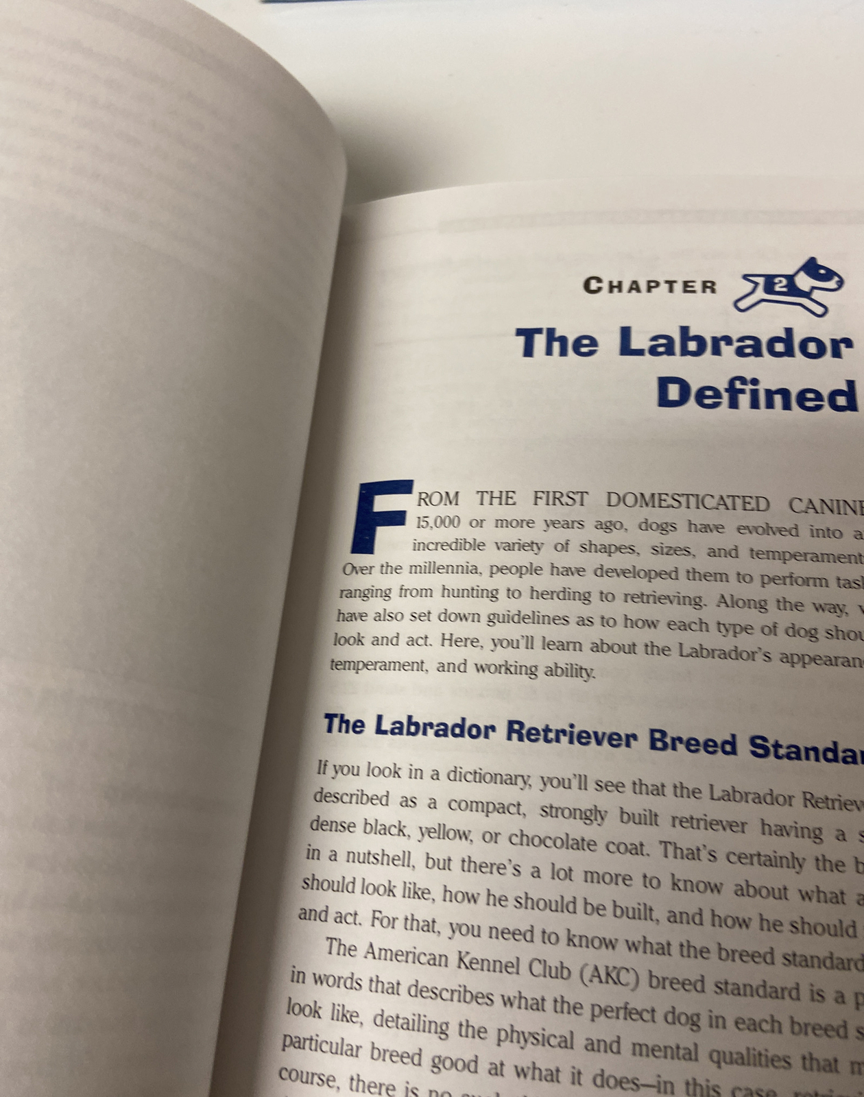 Everything® Ser.: Labrador Retriever Book : A Complete Guide to Raising,…