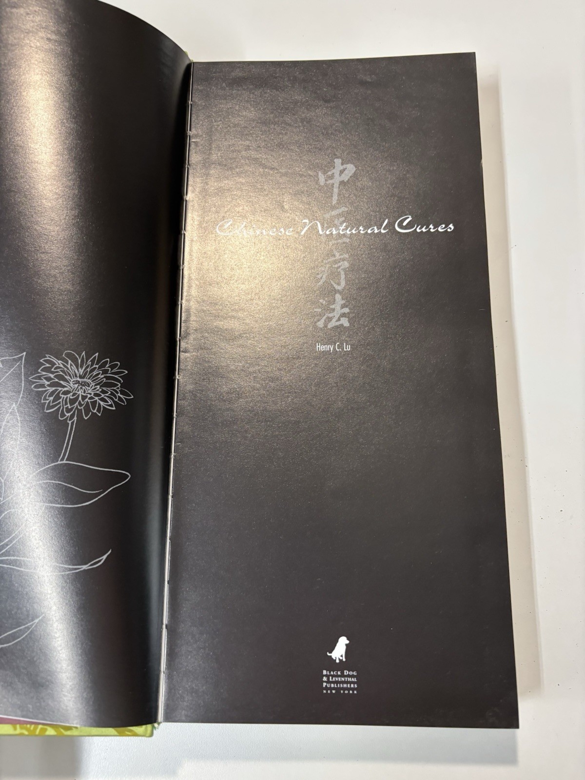 Chinese Natural Cures Henry C. Lu Hardcover (1999) Traditional Chinese Medicine