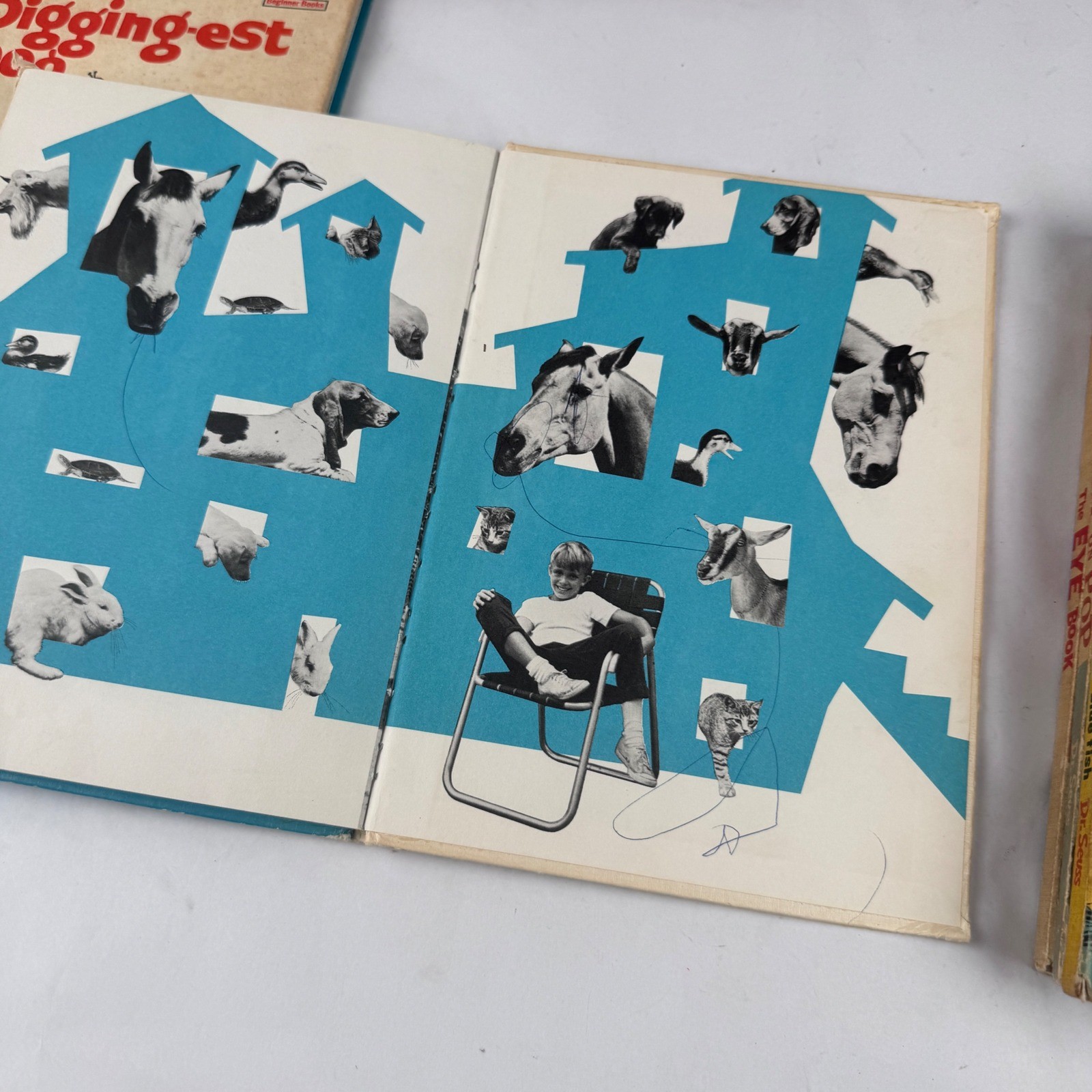 Vintage Dr Seuss Books Lot of 11 Hardback Sneetches Horton Hears a Who