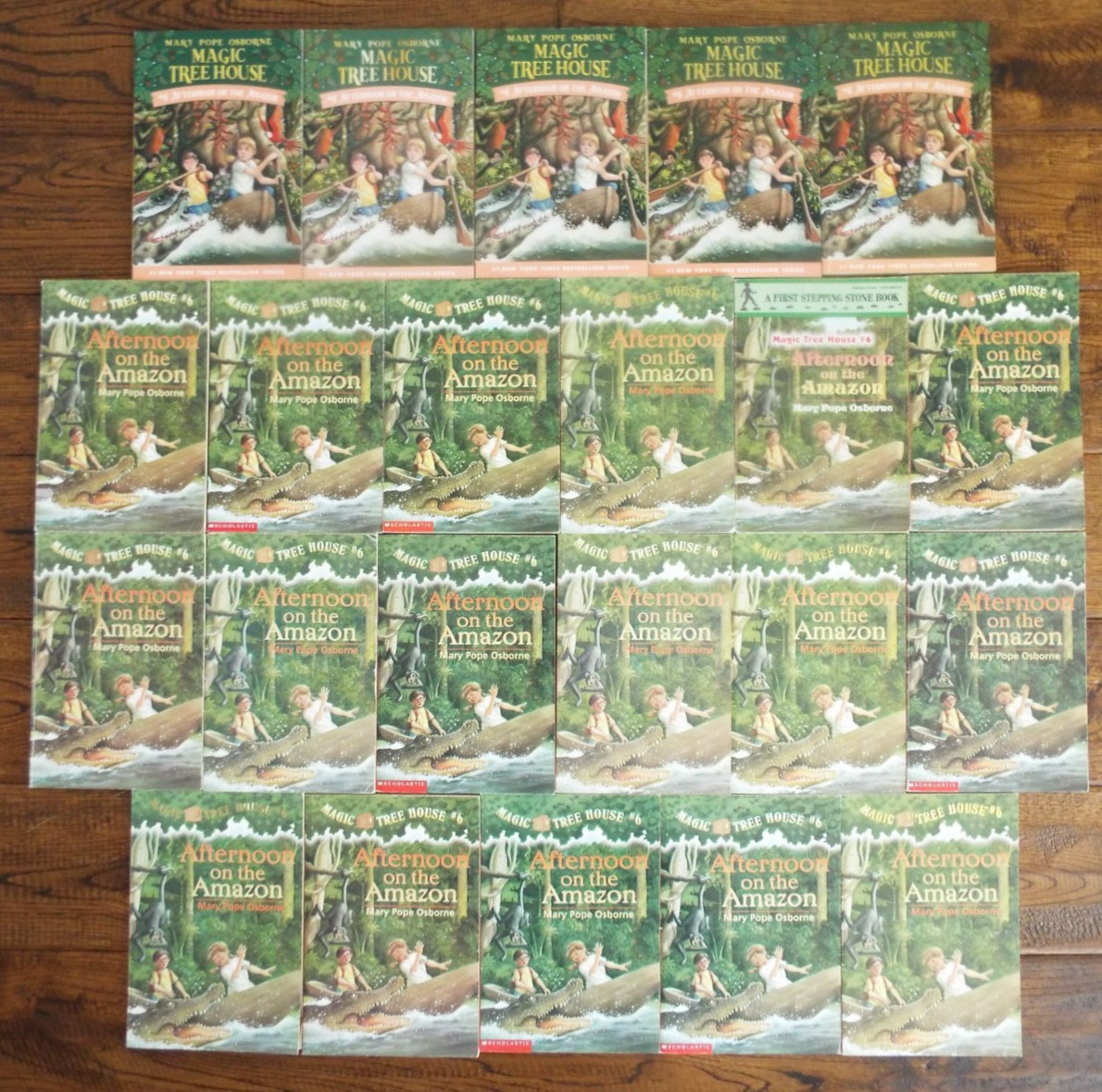 Lot 22 Magic Tree House Guided Reading #6 Afternoon on the Amazon Books