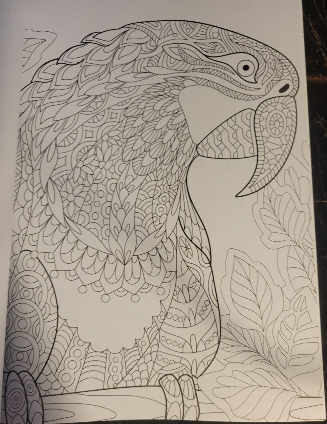 MAGNIFICENT CREATURES Vol 20 – Adult Coloring Book by TOPIX MEDIA – 47 PRINTS