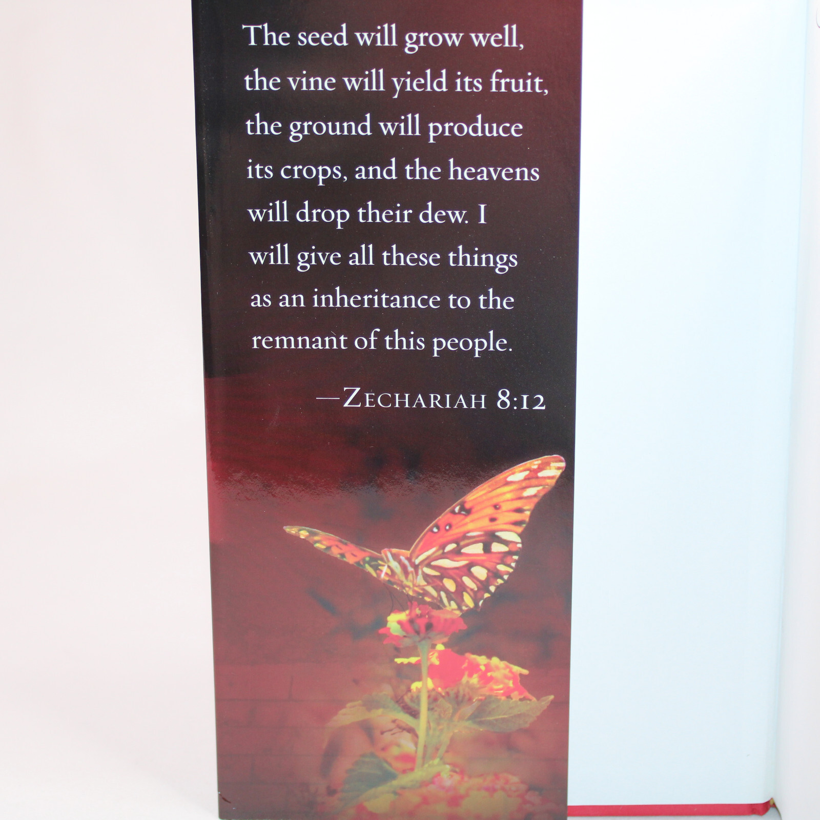 SIGNED No Burning Bushes Discovering God In The Ordinary Hardcover Kathy Marotta