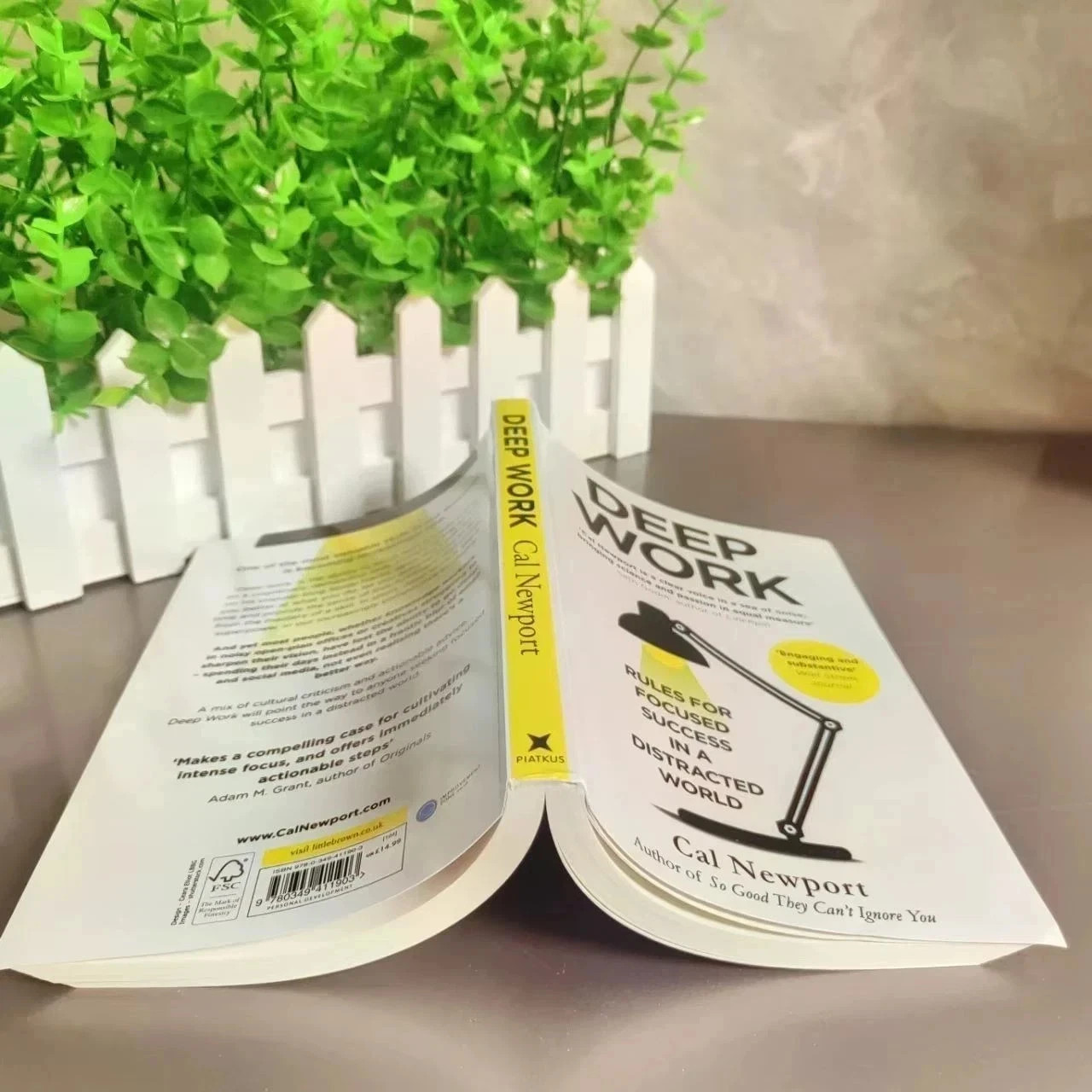 Deep Work English Book By Cal Newport Rules for Focused Success In A Distracted