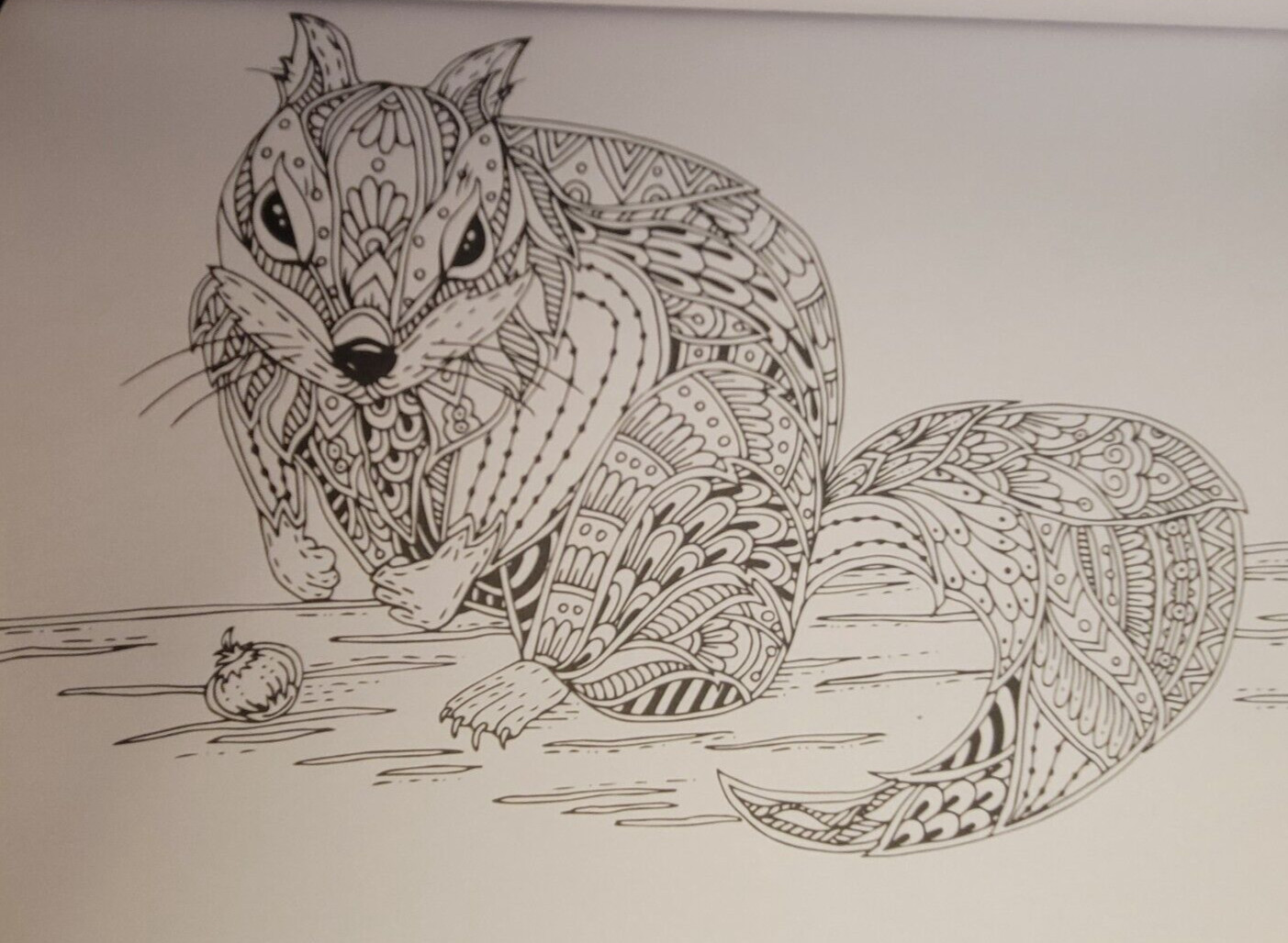 COLORS OF THE WILD Vol 22 Adult Coloring Book With 47 Prints Ready To Frame