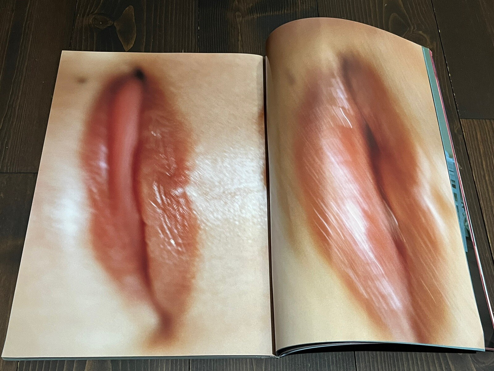 2004 1ST EDITION NOBUYOSHI ARAKI MONTHLY GEKKAN TAMAO SATO JAPANESE PHOTO BOOK