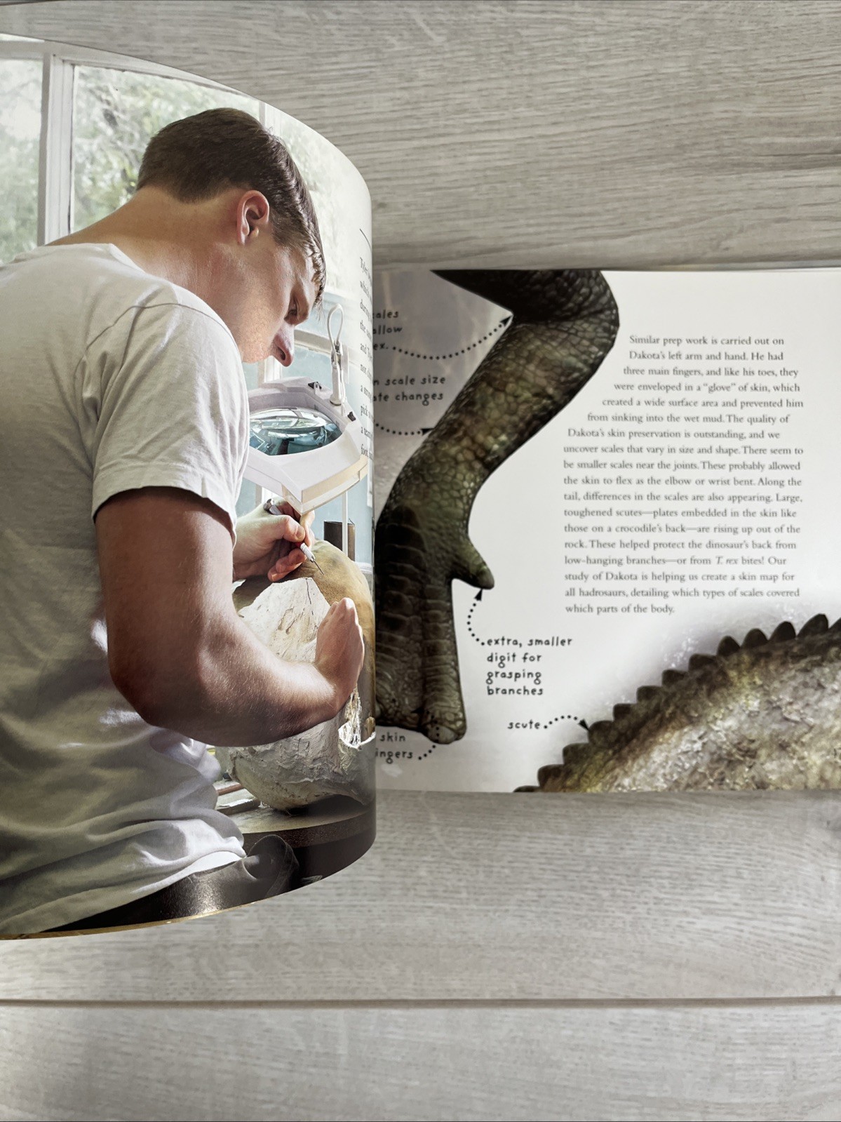 Dinomummy : The Life, Death and Discovery of Dakota, a Dinosaur from Hell Creek