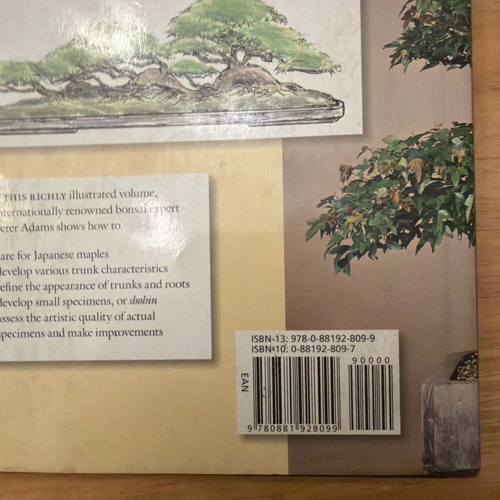 BONSAI WITH JAPANESE MAPLES By Peter Adams – Hardcover , Highlighting 10 Pages