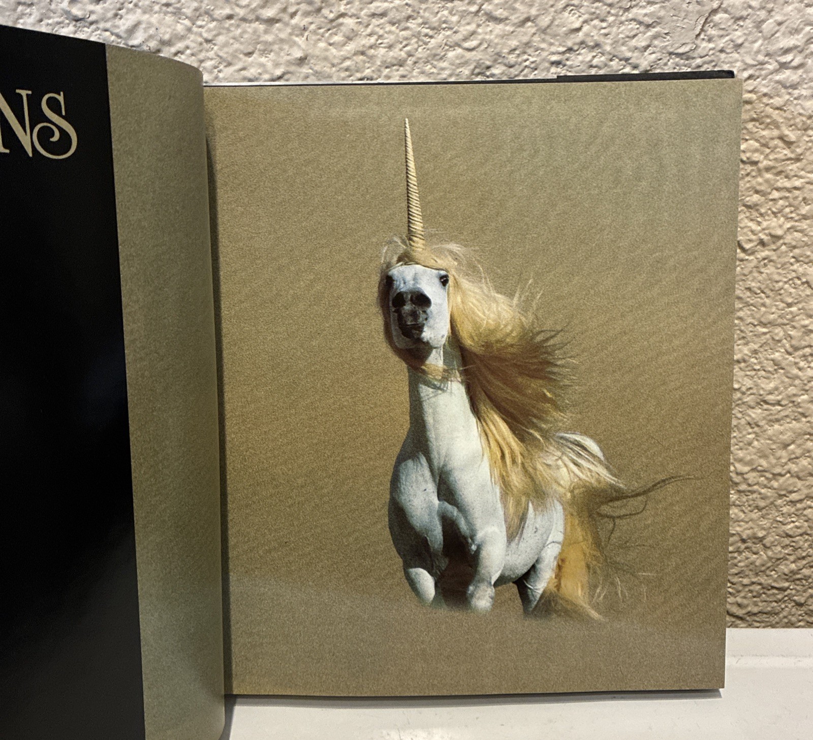 Signed Robert Vavra Unicorn Book Unicorns I Have Known w/ Grey Horses HCDJ VGUC