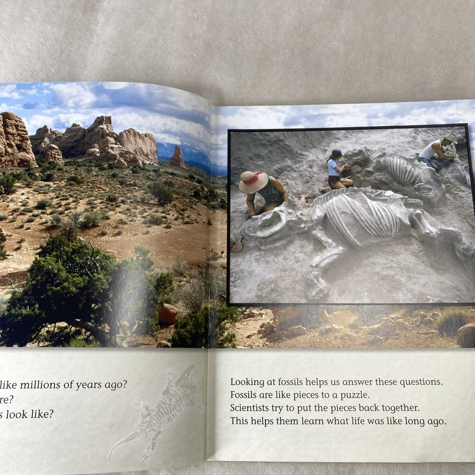 Lot of 10 Steck-Vaughn Shutterbug Books: Leveled Reader Grades K – 1 Science