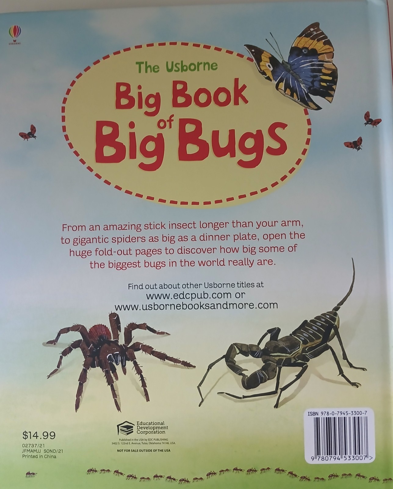Usborne Big Book Of Dinosaurs & Bugs STEM Learning Fold-Out Pages Home School