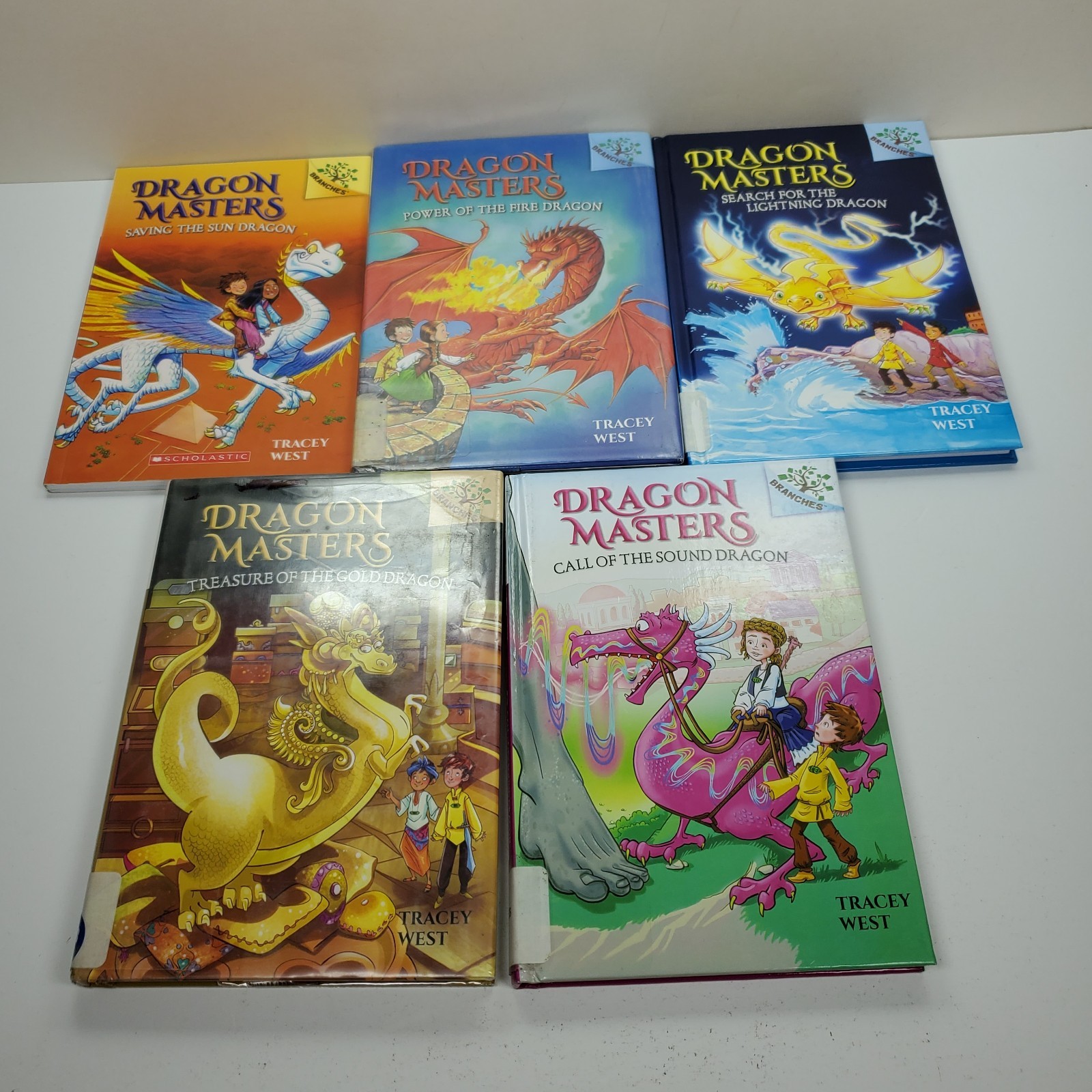 Dragon Masters Books Lot 10 Branches Tracey West HC & PB