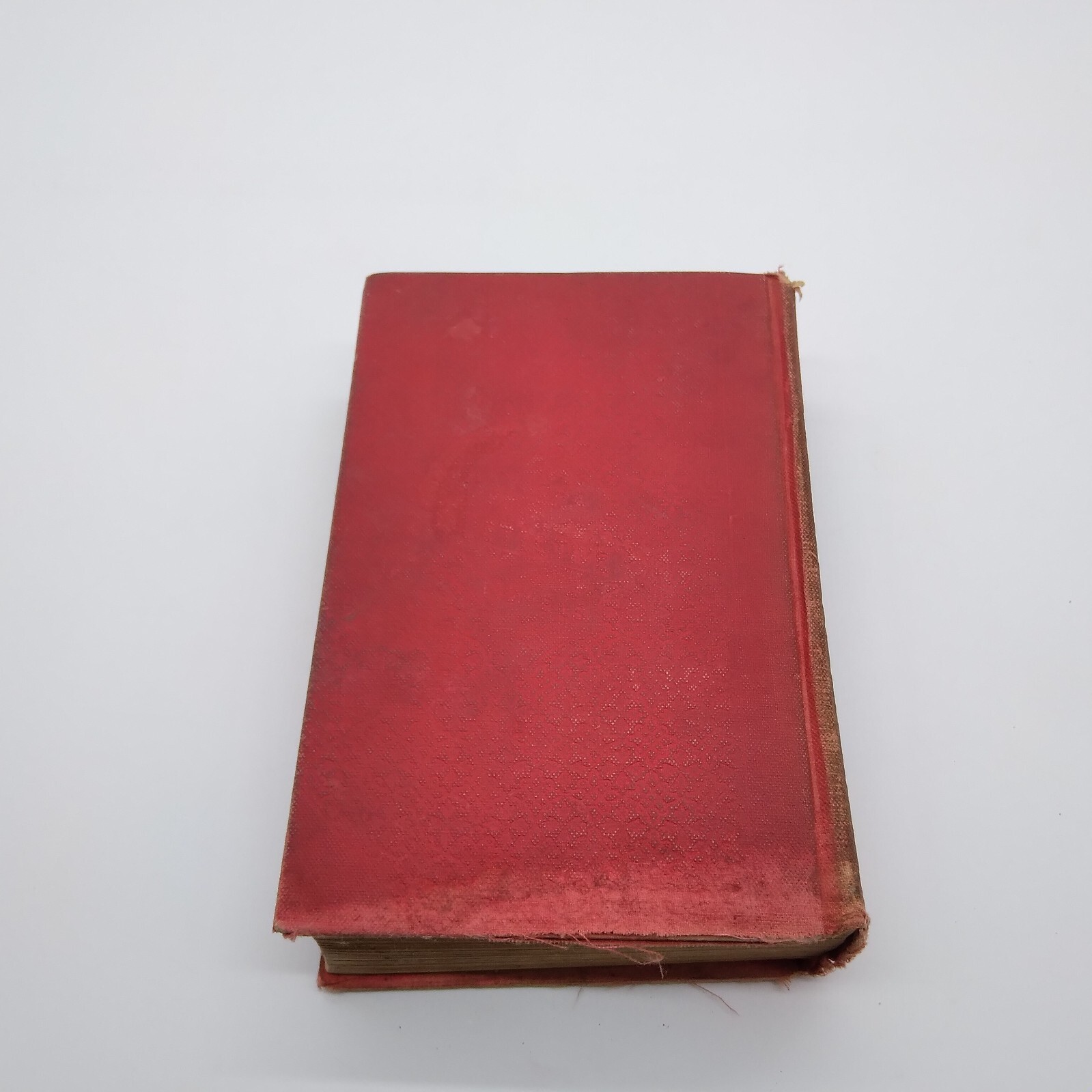MADELINE PAYNE, THE DETECTIVES DAUGHTER by Lawrence L. Lynch 1885 HC Rare