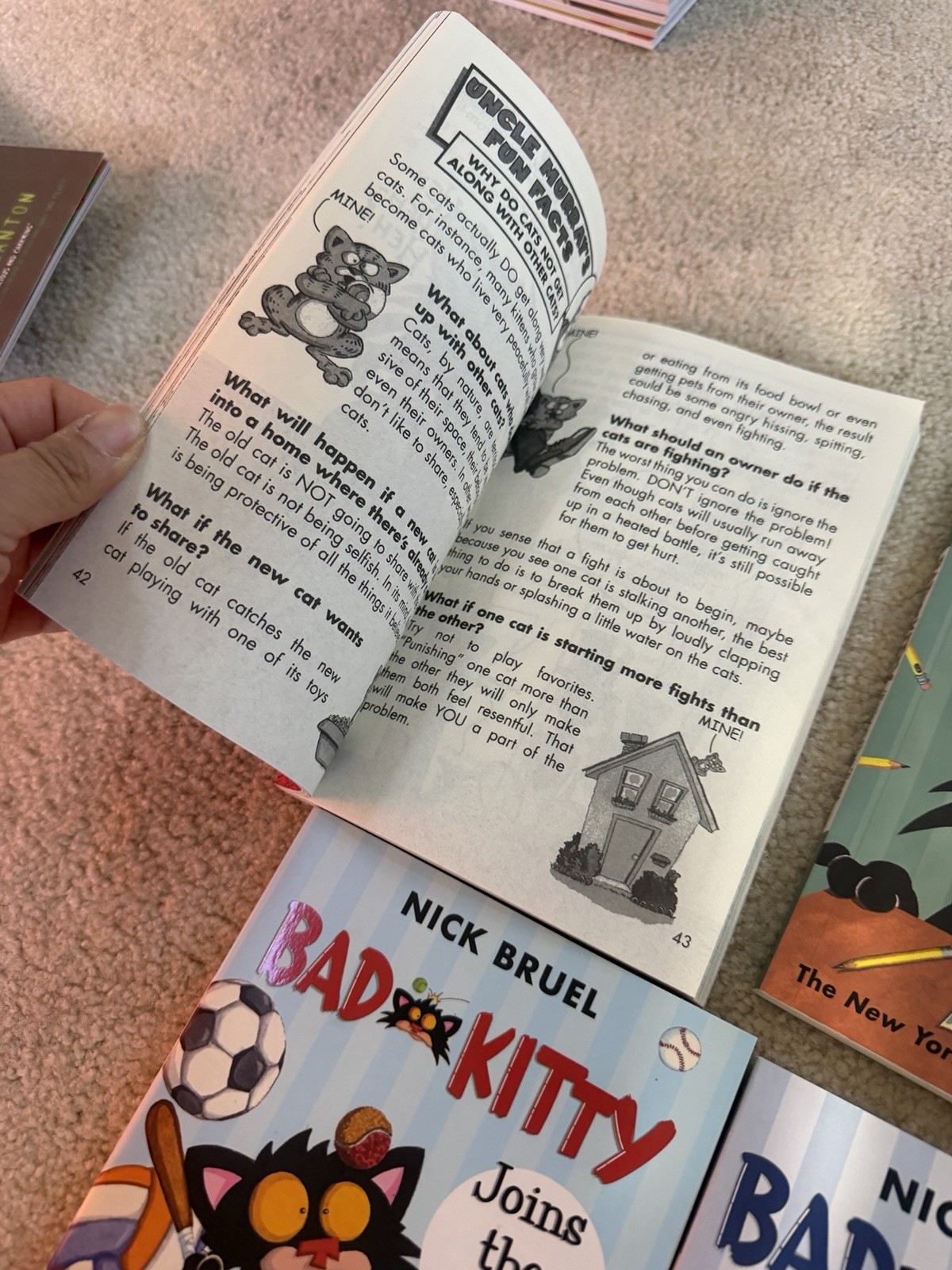 Bad Kitty’s Purrfect Set by Nick Bruel – 15 Books